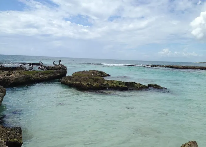 Caleta Tankah Hotel